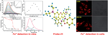 Graphical abstract: A benzoxazole functionalized fluorescent probe for selective Fe3+ detection and intracellular imaging in living cells