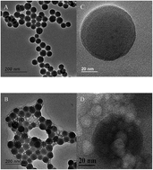 Graphical abstract: The preparation of an electrochemiluminescence (ECL) active DNA nanoprobe for label-free and amplified ECL sensing of microRNA