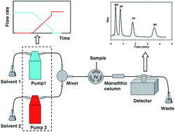 Graphical abstract: A new flow-injection chromatography method exploiting linear-gradient elution for fast quantitative screening of parabens in cosmetics