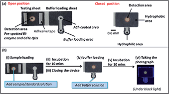 Graphical abstract: Paper-based thioglycolic acid (TGA)-capped CdTe QD device for rapid screening of organophosphorus and carbamate insecticides