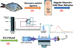 Graphical abstract: Magnetic dispersive solid phase extraction based on polythiophene modified magnetic graphene oxide for mercury determination in seafood followed by flow-injection cold vapor atomic absorption spectrometry