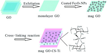 Graphical abstract: Ti4+-immobilized chitosan-coated magnetic graphene oxide for the highly selective enrichment of phosphopeptides