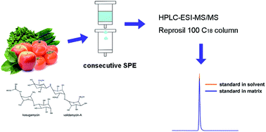 Graphical abstract: Simultaneous analysis of kasugamycin and validamycin-A in fruits and vegetables using liquid chromatography-tandem mass spectrometry and consecutive solid-phase extraction