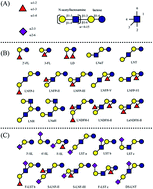 Graphical abstract: Chromatographic methods for the analysis of oligosaccharides in human milk