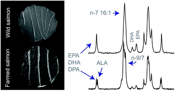 Graphical abstract: Analysis of wild and farmed salmon using 13C solid-state NMR and MRI directly on fillet tissue
