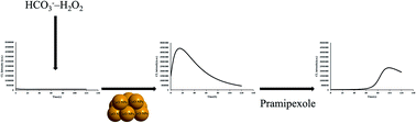 Graphical abstract: Determination of pramipexole by using its quenching and retarding effects on the CuO nanoparticle–HCO3−–H2O2 chemiluminescence reaction