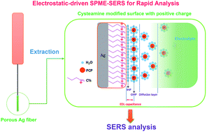 Graphical abstract: Electrostatic-driven solid phase microextraction coupled with surface enhanced Raman spectroscopy for rapid analysis of pentachlorophenol