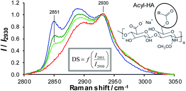 Graphical abstract: Evaluating the degree of substitution of water-insoluble acyl derivatives of hyaluronan using Raman spectroscopy: method development and comparison with gas chromatography and 1H NMR