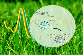 Graphical abstract: MoS2 quantum-dots as a label-free fluorescent nanoprobe for the highly selective detection of methyl parathion pesticide