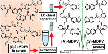 Graphical abstract: Chiral determination of 3,4-methylenedioxypyrovalerone enantiomers in rat serum