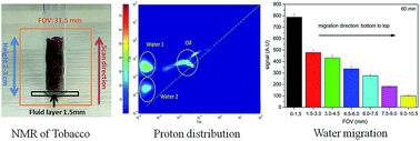 Graphical abstract: Novel 1H NMR relaxometry methods to study the proton distribution and water migration properties of tobacco