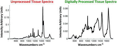 Graphical abstract: Improved protocols for pre-processing Raman spectra of formalin fixed paraffin preserved tissue sections