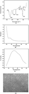 Graphical abstract: Fabrication of a highly sensitive electrochemiluminescence chlorpromazine sensor using a Ru(bpy)32+ incorporated carbon quantum dot–gelatin composite film