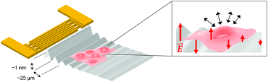 Graphical abstract: Acoustotaxis – in vitro stimulation in a wound healing assay employing surface acoustic waves