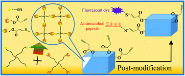 Graphical abstract: PEG-based hydrogels prepared by catalyst-free thiol–yne addition and their post-antibacterial modification