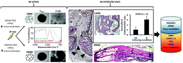 Graphical abstract: Rheological properties, biocompatibility and in vivo performance of new hydrogel-based bone fillers