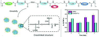 Graphical abstract: Synthesis and characterization of biodegradable lysine-based waterborne polyurethane for soft tissue engineering applications