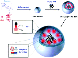 Graphical abstract: Redox-responsive dextran based theranostic nanoparticles for near-infrared/magnetic resonance imaging and magnetically targeted photodynamic therapy
