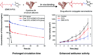 Graphical abstract: A rapid albumin-binding 5-fluorouracil prodrug with a prolonged circulation time and enhanced antitumor activity