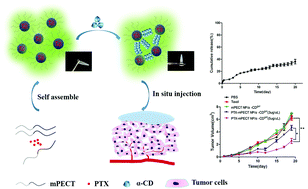 Graphical abstract: Supramolecular hydrogel based on high-solid-content mPECT nanoparticles and cyclodextrins for local and sustained drug delivery