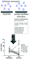 Graphical abstract: The influence of surface modified poly(l-lactic acid) films on the differentiation of human monocytes into macrophages