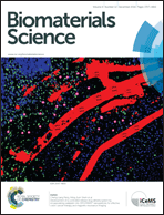 Graphical abstract: Inside front cover