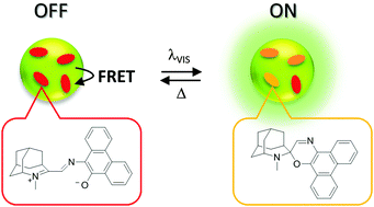 Graphical abstract: Visible light photoswitching of conjugated polymer nanoparticle fluorescence