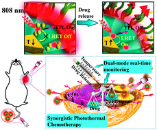 Graphical abstract: A multifunctional nanocomposite for luminescence resonance energy transfer-guided synergistic monitoring and therapy under single near infrared light