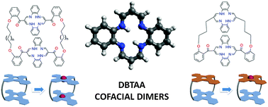 Graphical abstract: New developments in porphyrin-like macrocyclic chemistry: a novel family of dibenzotetraaza[14]annulene-based cofacial dimers