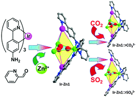 Graphical abstract: Multicomponent self-assembly of a pentanuclear Ir–Zn heterometal–organic polyhedron for carbon dioxide fixation and sulfite sequestration