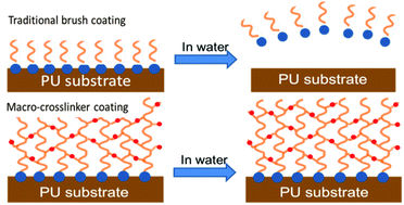 Graphical abstract: A zwitterionic macro-crosslinker for durable non-fouling coatings