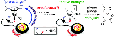 Graphical abstract: A remote coordination booster enhances the catalytic efficiency by accelerating the generation of an active catalyst