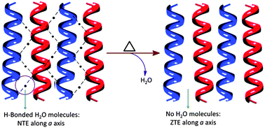 Graphical abstract: Hydration-dependent anomalous thermal expansion behaviour in a coordination polymer