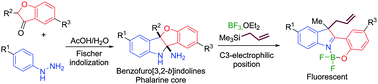 Graphical abstract: Synthesis of benzofuro[3,2-b]indoline amines via deamination-interrupted Fischer indolization and their unexpected reactivity towards nucleophiles