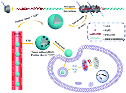 Graphical abstract: Dual pH-responsive 5-aminolevulinic acid pseudopolyrotaxane prodrug micelles for enhanced photodynamic therapy