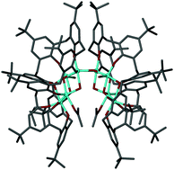 Graphical abstract: Flexible macrocycles as versatile supports for catalytically active metal clusters