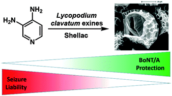 Graphical abstract: Lycopodium clavatum exine microcapsules enable safe oral delivery of 3,4-diaminopyridine for treatment of botulinum neurotoxin A intoxication