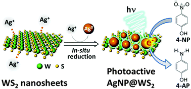 Graphical abstract: Photoactive WS2 nanosheets bearing plasmonic nanoparticles for visible light-driven reduction of nitrophenol