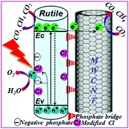 Graphical abstract: Enhanced charge separation of rutile TiO2 nanorods by trapping holes and transferring electrons for efficient cocatalyst-free photocatalytic conversion of CO2 to fuels