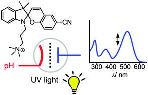 Graphical abstract: An acido- and photochromic molecular device that mimics triode action