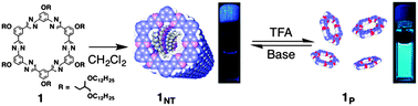 Graphical abstract: Reversible transformation of self-assemblies and fluorescence by protonation–deprotonation in pyrimidinylene–phenylene macrocycles