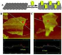 Graphical abstract: The synthesis of pillar[5]arene functionalized graphene as a fluorescent probe for paraquat in living cells and mice