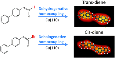 Graphical abstract: The stereoselective synthesis of dienes through dehalogenative homocoupling of terminal alkenyl bromides on Cu(110)