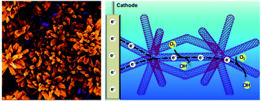 Graphical abstract: Interlocked multi-armed carbon for stable oxygen reduction