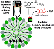 Graphical abstract: Supramolecular micelle-based nucleoapzymes for the catalytic oxidation of dopamine to aminochrome