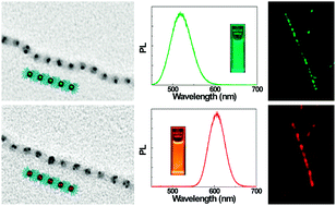 Graphical abstract: Fluorescent supracolloidal polymer chains with quantum dots