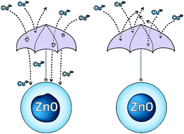 Graphical abstract: ‘Clickable’ ZnO nanocrystals: the superiority of a novel organometallic approach over the inorganic sol–gel procedure
