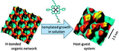 Graphical abstract: In-solution patterning of standing up porphyrin based nanostructures within hydrogen bonded porous networks – a structural effect of a host matrix on guest entities