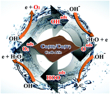 Graphical abstract: Co3O4 nanosheets as a high-performance catalyst for oxygen evolution proceeding via a double two-electron process