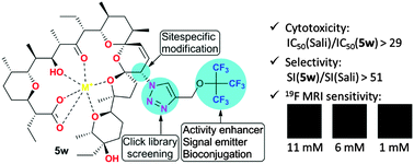 Graphical abstract: Discovery of a 19F MRI sensitive salinomycin derivative with high cytotoxicity towards cancer cells